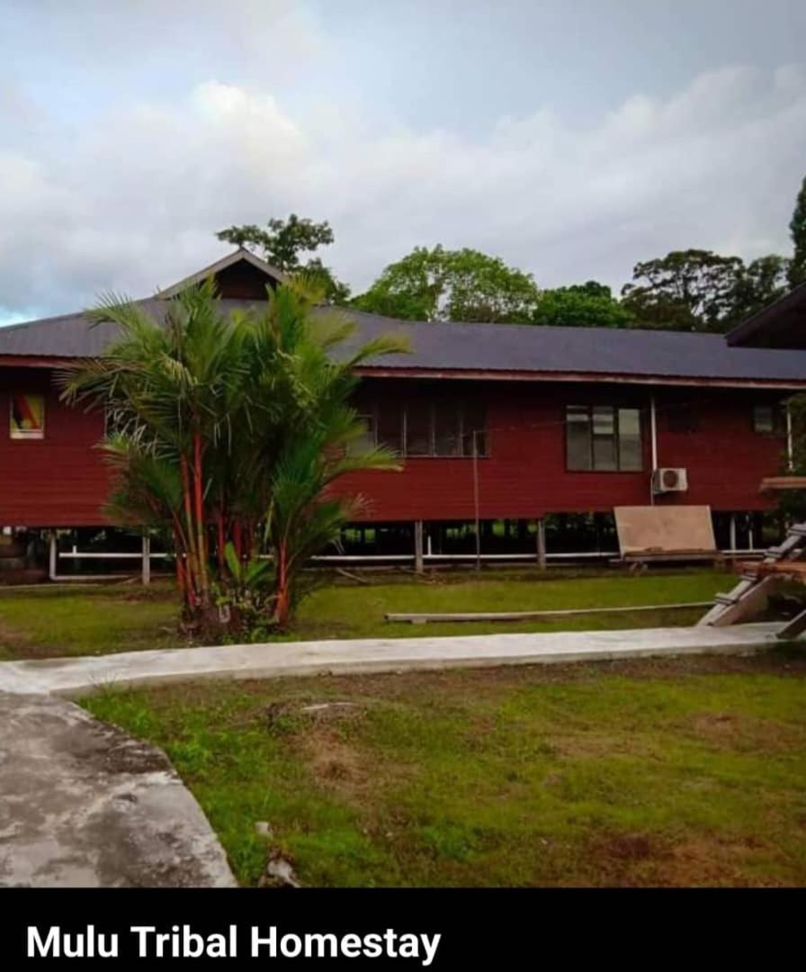 Mulu Tribal Homestay Luaran gambar