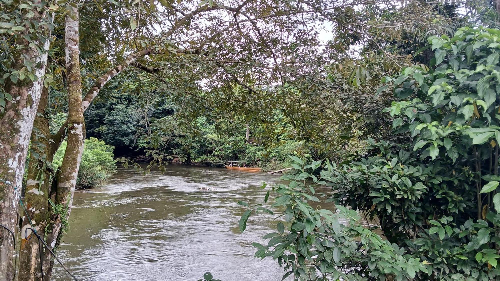 Mulu Tribal Homestay Luaran gambar